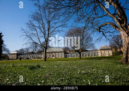 Non sono molti i visitatori dei giardini botanici di Sheffield, in quanto vengono applicate le regole sulle distanze sociali e sull'autoisolamento dovute all'epidemia di Covid19. 25 aprile 2020, ©Gary Bagshawe/Alamy Live News Foto Stock