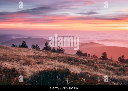 Paesaggio sopra le nuvole all'alba. Montagne di Jeseniky, Repubblica Ceca Foto Stock