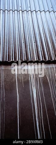 Architettura. Edilizia industriale. Tetto in stagno corrugato. Foto Stock