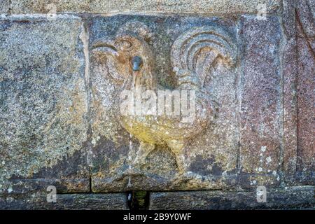 Monastero di San Martino di Tibaes, patio del Gallo, patio de Galo, scultura del Gallo, Braga, Minho, Portogallo Foto Stock