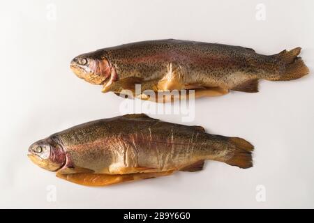 Pesce affumicato freddo. Trota fluviale, arcobaleno, oro, lago, freddo Karelian affumicato su sfondo bianco Foto Stock