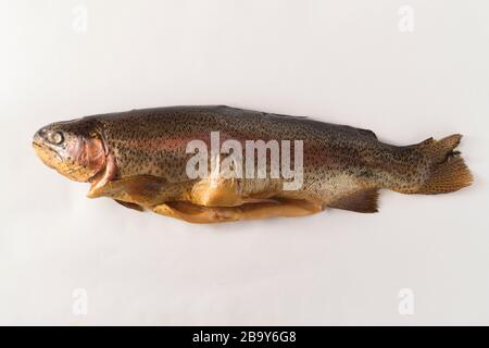 Pesce affumicato freddo. Trota fluviale, arcobaleno, oro, lago, freddo Karelian affumicato su sfondo bianco Foto Stock