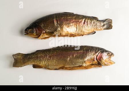 Pesce affumicato freddo. Trota fluviale, arcobaleno, oro, lago, freddo Karelian affumicato su sfondo bianco Foto Stock