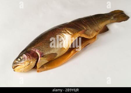 Pesce affumicato freddo. Trota fluviale, arcobaleno, oro, lago, freddo Karelian affumicato su sfondo bianco Foto Stock