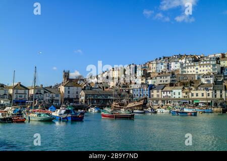 Porto di Brixham con pesca e imbarcazioni per il tempo libero in una chiara giornata di sole. Brixham, Devon, Regno Unito. Marzo 2018. Foto Stock