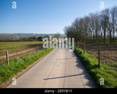 Un percorso agricolo e un sentiero pubblico a Wrington conosciuto localmente come la Yellow Brick Road. North Somerset, Inghilterra. Foto Stock