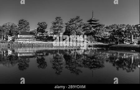 Un'immagine in bianco e nero della pagoda del Tempio di Kofuku-ji visto dallo stagno di Sarusawanoike (Nara). Foto Stock