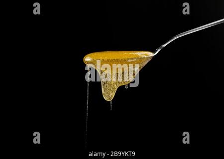 Primo piano fresco e fluido miele di acacia colata e che scorre da cucchiaio di metallo isolato su sfondo nero con spazio copia, vista laterale a basso angolo Foto Stock