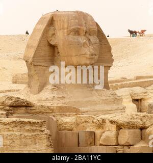 Faccia della Grande Sfinge di Giza, presso la Grande Piramide di Khufu, all'Altopiano di Giza al Cairo, Egitto. I carrelli trafilati in cavalli si trovano dietro l'icona/ Foto Stock