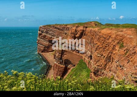 La costa ripida sull'isola offshore di Helgoland Foto Stock