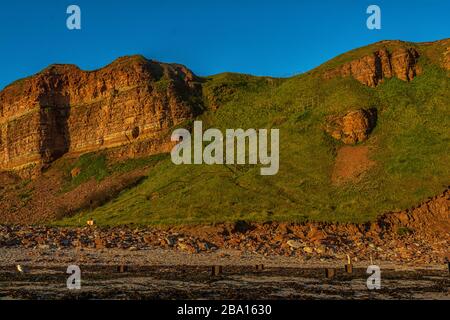 La costa ripida sull'isola offshore di Helgoland Foto Stock