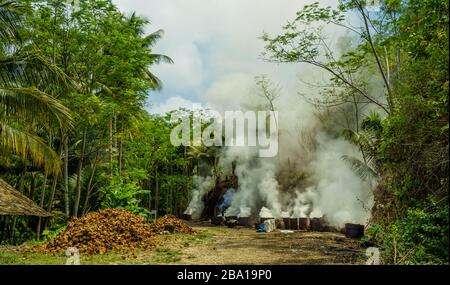 Contadini locali che bruciano carichi di conchiglie di cocco essiccate in barili. Fumo massiccio e foschia nella foresta tropicale vicino Pangandaran, Giava occidentale, Indonesia. CO2 Foto Stock