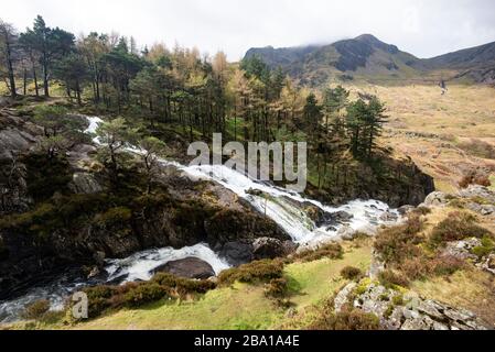 Fiume di schiumosità bianco, che scorre velocemente, sburlando sopra i massi, con alberi di pino e montagne aspre in lontananza Foto Stock