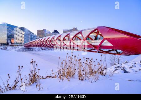 Peace Bridge, Bow River, Calgary, Alberta, Canada Foto Stock