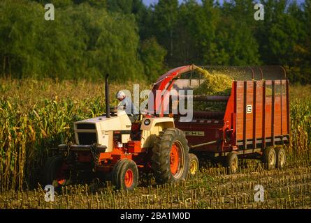 OSWEGO COUNTY, NEW YORK, USA, SETTEMBRE 1985 - Farmer su trattore trinciando il mais in campo. Foto Stock