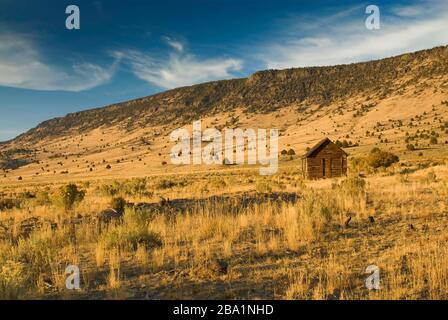 Vecchio shack a Catlow Valley con Catlow Rim Steens Mountain Wilderness in distanza a Roaring Springs Ranch, Oregon, Stati Uniti Foto Stock