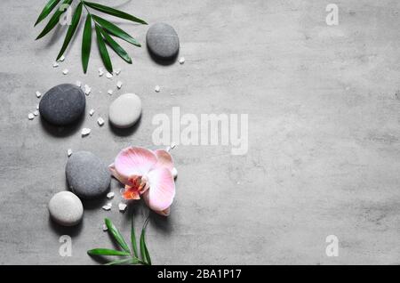 Spa concetto su sfondo pietra, foglie di palma, fiori e zen, pietre grigie, vista dall'alto, spazio copia Foto Stock