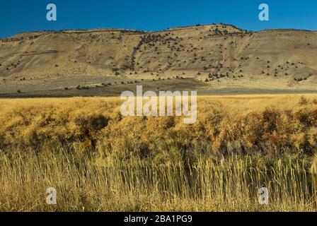 Zone umide a Center Patrol Road e Jackass Mtn in immersione al Malheur National Wildlife Refuge, Oregon, USA Foto Stock