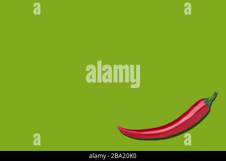 Peperoncino rosso singolo su sfondo verde con copyspace Foto Stock
