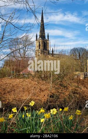 UK, South Yorkshire, Elsecar, Santa Trinity Parish Church e Daffodils accanto al canale di Elsecar Foto Stock