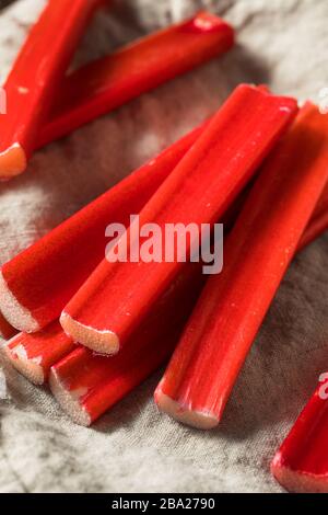 Bastoni di rhubard rossi organici grezzi pronti a cuocere con Foto Stock