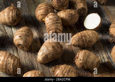 Radice di taro marrone organica grezza pronta a cuoco Foto Stock