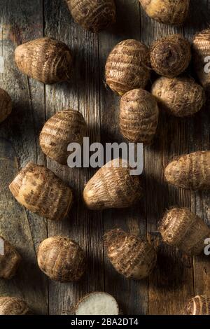 Radice di taro marrone organica grezza pronta a cuoco Foto Stock