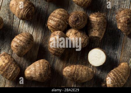 Radice di taro marrone organica grezza pronta a cuoco Foto Stock