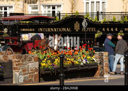 Jarveys in attesa di clienti di fronte all'International Hotel nel centro di Killarney come la consueta vista quotidiana a Killarney, County Kerry, Irlanda. Foto Stock