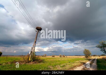 Tempo tempestoso sulla Grande piana ungherese Foto Stock