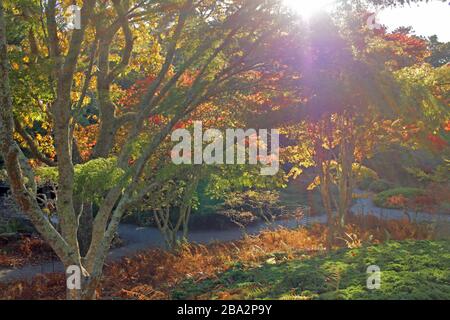 Giardini in stile giapponese di Mytoi, Chappaquiddick, Martha's Vineyard, Massachusetts, Stati Uniti Foto Stock