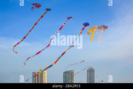 Kites volare a Galle faccia verde a Colombo, Sri Lanka Foto Stock