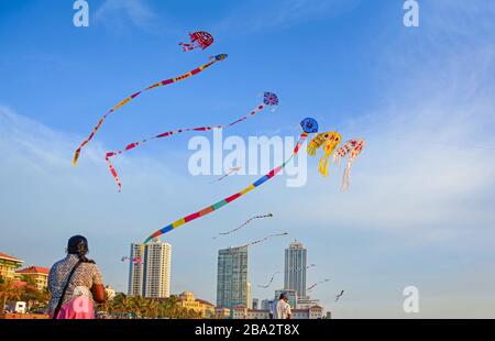 Kites volare a Galle faccia verde a Colombo, Sri Lanka Foto Stock