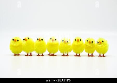 Carino piccoli pulcini pasquali in piedi in una fila Foto Stock