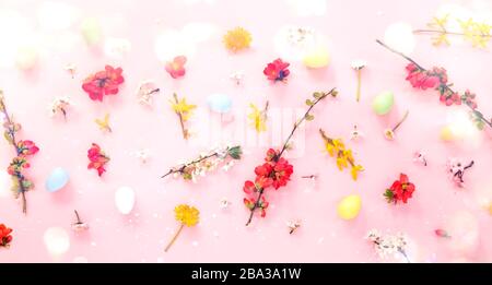 Uova di Pasqua e fiori di primavera su sfondo rosa Foto Stock