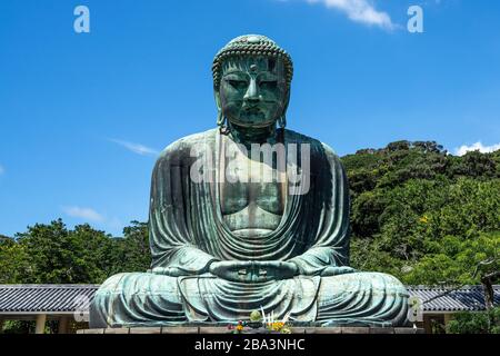 Il Grande Buddha di Kamakura al Tempio di Kotokuin è una delle icone più famose del Giappone Foto Stock