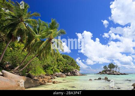 Felsen und Offenburg, La Digue, Seychellen, Indischer Ozean Foto Stock