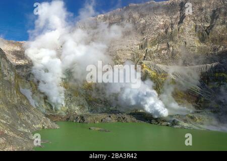 Neuseeland, Isola Bianca, Heisse Quellen, Vulkanismus, aktiver Vulkan, Foto Stock