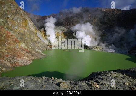 Neuseeland, Isola Bianca, Heisse Quellen, Vulkanismus, aktiver Vulkan, Foto Stock