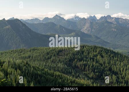 Una scena casuale dal Pacifico nord-occidentale di Seattle Foto Stock