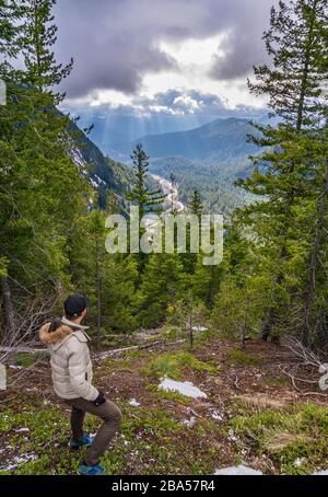 Una vista dal Parco Nazionale del Monte Rainier Foto Stock