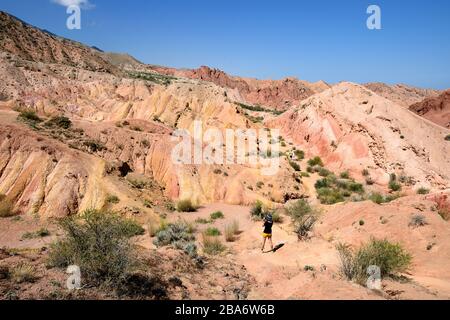 Kirghizistan, canyon colorato delle fate (canyon di Skazka) sulla riva sud del lago Issyk-kul Foto Stock