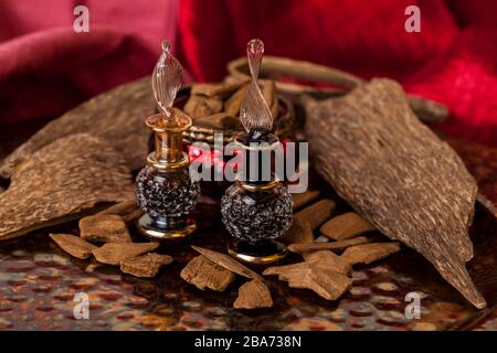 Legno di agar, chiamato anche aloeswood, olio essenziale di incenso e trucioli Foto Stock