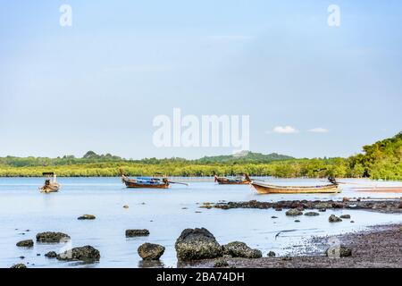 Barche a coda lunga con bassa marea sull'isola di Ko Yao noi vicino a Phuket, nel sud della Thailandia Foto Stock