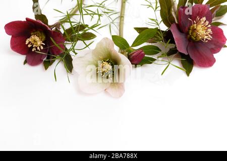 Festosa composizione floreale in bianco sullo sfondo di legno. Vista aerea Foto Stock