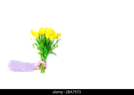 Mano dell'uomo che tiene un bel bouquet di fiori tulipani gialli su sfondo bianco. Fiori da regalare. Posizionare per il testo. Isolato sul bianco. Foto Stock