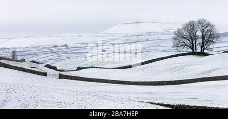Neve a metà inverno intorno a Hawes e Hardraw nell'alta Wensleydale, il Yorkshire Dales National Park, Regno Unito. Foto Stock