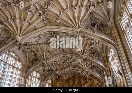 Luglio 2019. Divinity School soffitto, Oxford, Università, Inghilterra, Regno Unito. Bellissimo edificio medievale e camera in stile perpendicolare Foto Stock