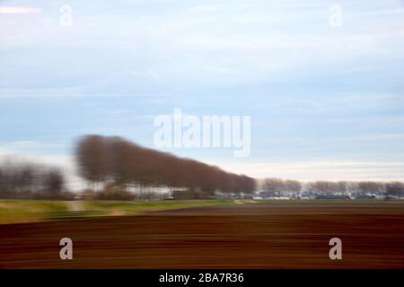 Paesaggio agricolo sfocato; preso da treno ad alta velocità con ben allineati file di alberi con sfocatura movimento che dà un astratto un po 'sinistro Foto Stock