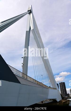 Rotterdam, Paesi Bassi - Giugno 2019; veduta ad angolo basso dell'iconico scudetto Erasmusbrug a Rotterdam con una vista spettacolare sul pilone e sui cavi ris Foto Stock